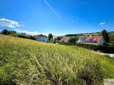 Grundstück kaufen in 4616 Weyerbach (Bild 4)