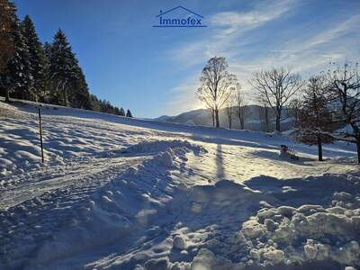 Grundstück kaufen in 6311 Oberau (Bild 1)