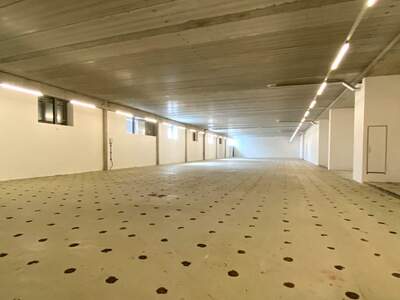 Gewerbeobjekt mieten in 1220 Wien (Bild 3)