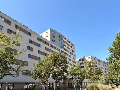 Apartment provisionsfrei mieten in 8020 Steiermark
