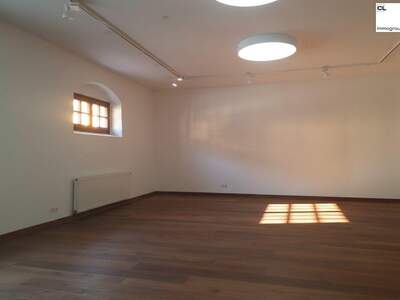 Gewerbeobjekt mieten in 5310 Mondsee (Bild 3)