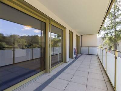 Gewerbeobjekt kaufen in 2344 Maria Enzersdorf (Bild 4)