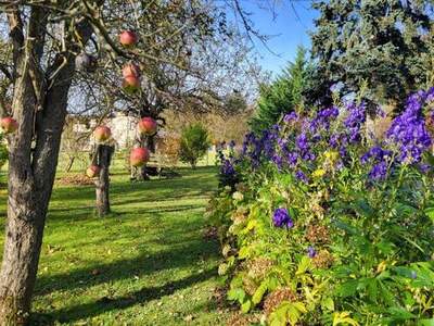 Haus kaufen in 2533 Klausen