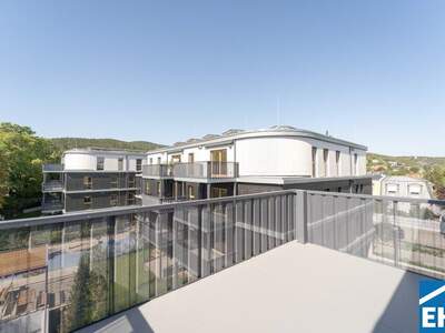 Terrassenwohnung kaufen in 2340 Mödling (Bild 3)
