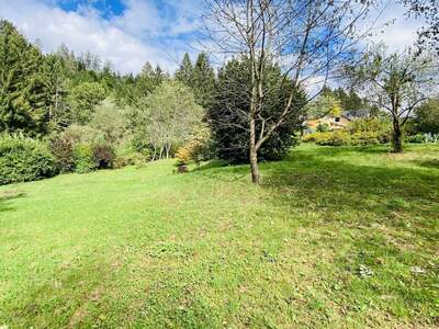 Grundstück kaufen in 8741 Weißkirchen (Bild 3)