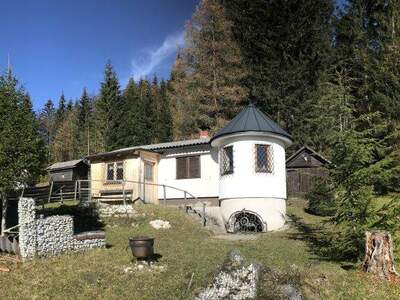 Ferienhaus kaufen in 8781 Wald