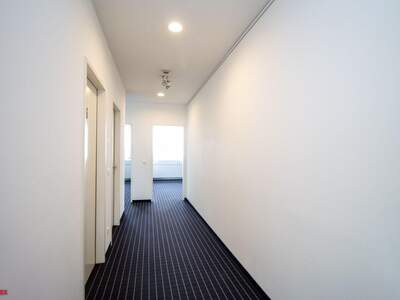 Gewerbeobjekt mieten in 4600 Thalheim (Bild 5)