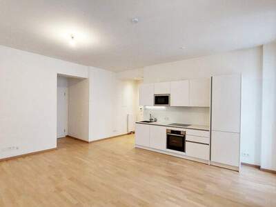 Wohnung mieten in 1010 Wien (Bild 2)