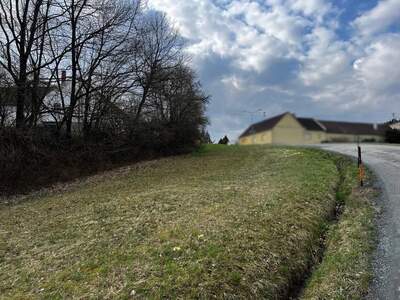 Grundstück kaufen in 7535 Rauchwart