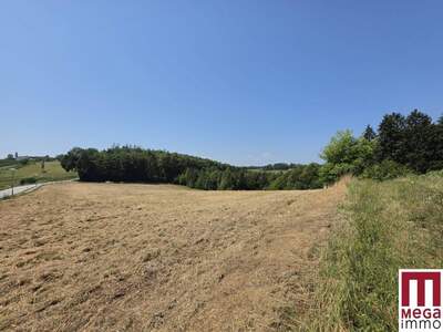 Grundstück kaufen in 8200 Gleisdorf