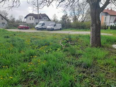 Gewerbeobjekt kaufen in 4614 Marchtrenk (Bild 4)