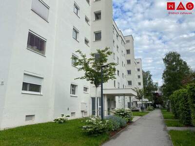 Terrassenwohnung mieten in 4020 Linz (Bild 1)