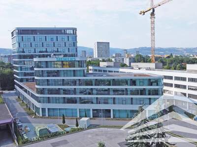 Gewerbeobjekt mieten in 4020 Linz