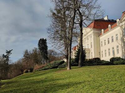 Etagenwohnung provisionsfrei mieten in 1160 wien