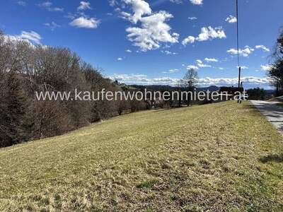 Grundstück kaufen in 8411 Lamberg