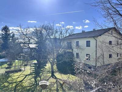 Einfamilienhaus kaufen in 2351 Wr. Neudorf (Bild 4)