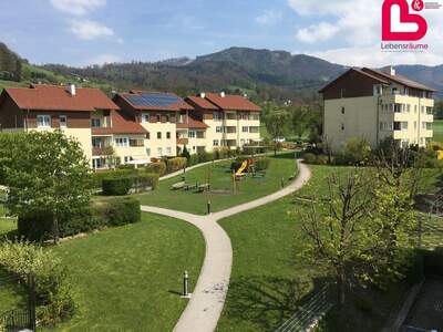 Wohnung mieten in 4560 Kirchdorf (Bild 5)