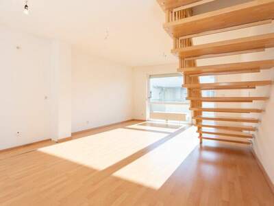 Terrassenwohnung mieten in 3382 Loosdorf (Bild 2)