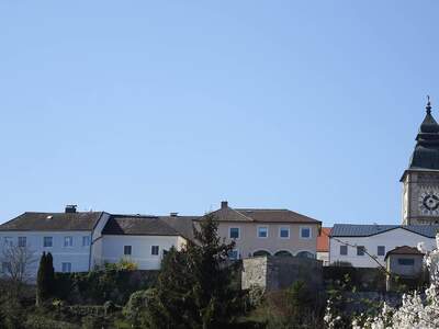 Mehrfamilienhaus kaufen in 4470 Enns (Bild 1)
