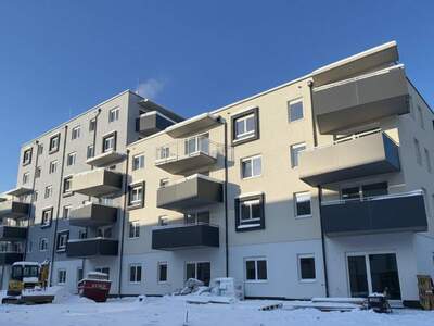 Wohnung mieten in 2700 Wiener Neustadt