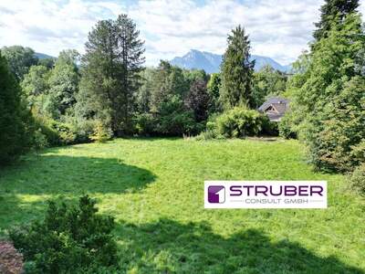 Grundstück kaufen in 5020 Salzburg