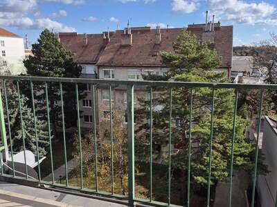 Terrassenwohnung mieten in 2320 Schwechat (Bild 4)