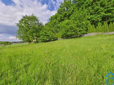 Grundstück kaufen in 8230 Eggendorf (Bild 4)