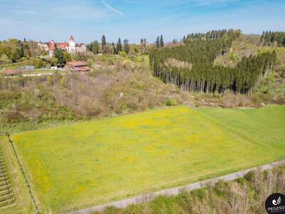 Gewerbeobjekt kaufen in 8333 Riegersburg (Bild 2)