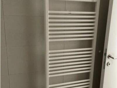 Terrassenwohnung mieten in 1220 Wien (Bild 4)