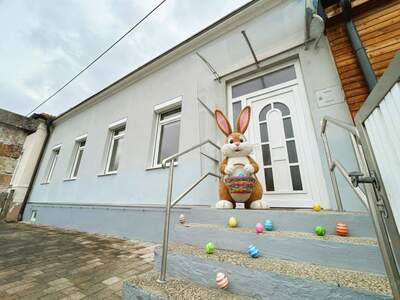 Haus kaufen in 2620 Neunkirchen