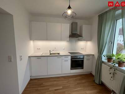 Wohnung mieten in 4400 Steyr (Bild 5)