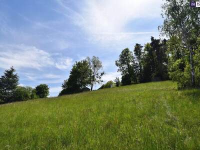 Grundstück kaufen in 8046 Graz