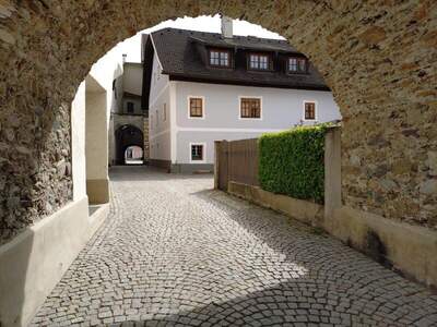 Haus kaufen in 9853 Gmünd