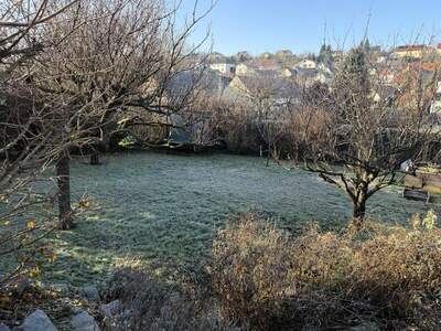 Haus kaufen in 7222 Rohrbach (Bild 4)