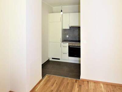Terrassenwohnung mieten in 2320 Schwechat (Bild 5)