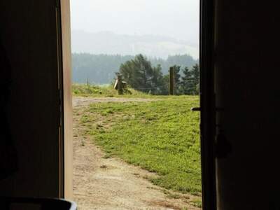 Gewerbeobjekt kaufen (Bild 3)