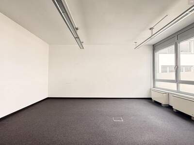Gewerbeobjekt mieten in 2320 Schwechat (Bild 3)