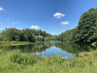 Wohnung kaufen in 1220 Wien