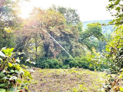 Grundstück kaufen in 3021 Pressbaum