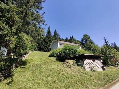 Haus kaufen in 8685 Steinhaus