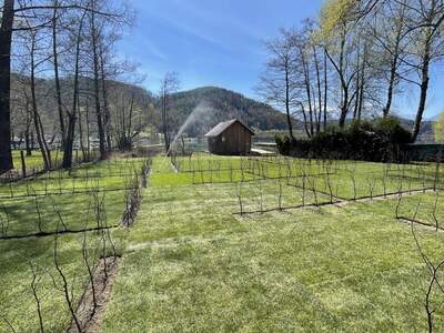 Grundstück mieten in 9122 St. Kanzian (Bild 5)