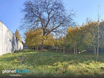 Grundstück kaufen in 2432 Schwadorf (Bild 3)