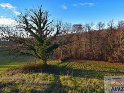 Grundstück kaufen in 8010 Kainbach