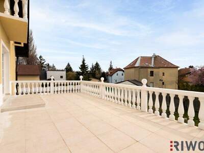 Terrassenwohnung mieten in 1230 Wien (Bild 5)