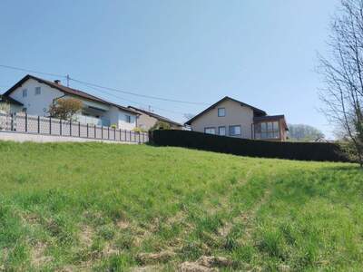 Grundstück kaufen in 4073 Wilhering (Bild 4)