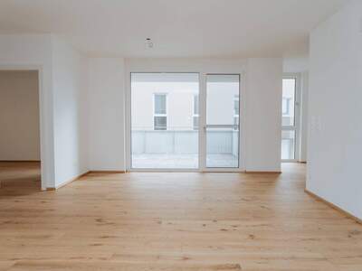 Anlageobjekt kaufen in 7141 Podersdorf