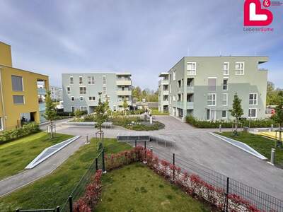 Wohnung mit Balkon kaufen in 4481 Asten (Bild 1)