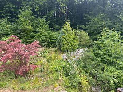 Einfamilienhaus kaufen in 3203 Rabenstein (Bild 4)