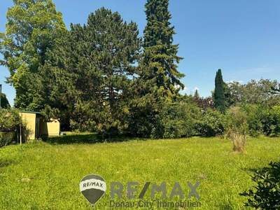 Grundstück kaufen in 2486 Pottendorf (Bild 1)