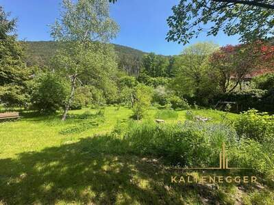 Grundstück kaufen in 2371 Hinterbrühl